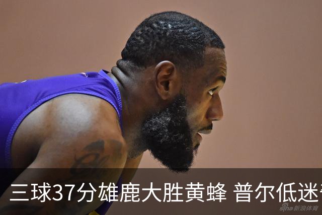 三球37分雄鹿大胜黄蜂 普尔低迷奇才负尼克斯