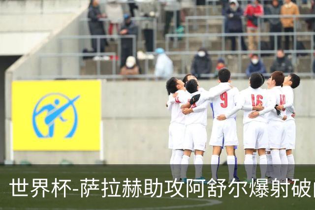 世界杯-萨拉赫助攻阿舒尔爆射破门 埃及半场1-0比利时