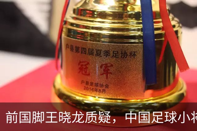 前国脚王晓龙质疑，中国足球小将的‘世界冠军’含金量几何？